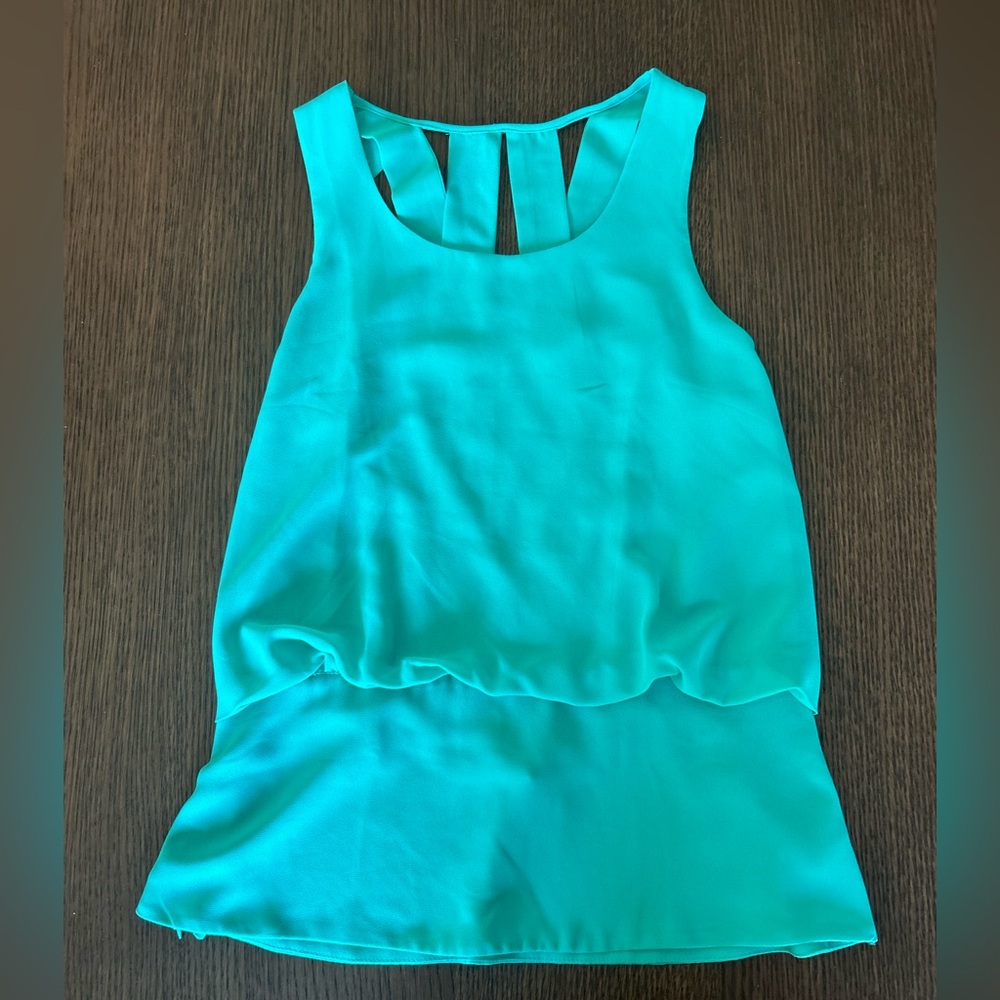 Naked Zebra Aqua Sleeveless Blouse